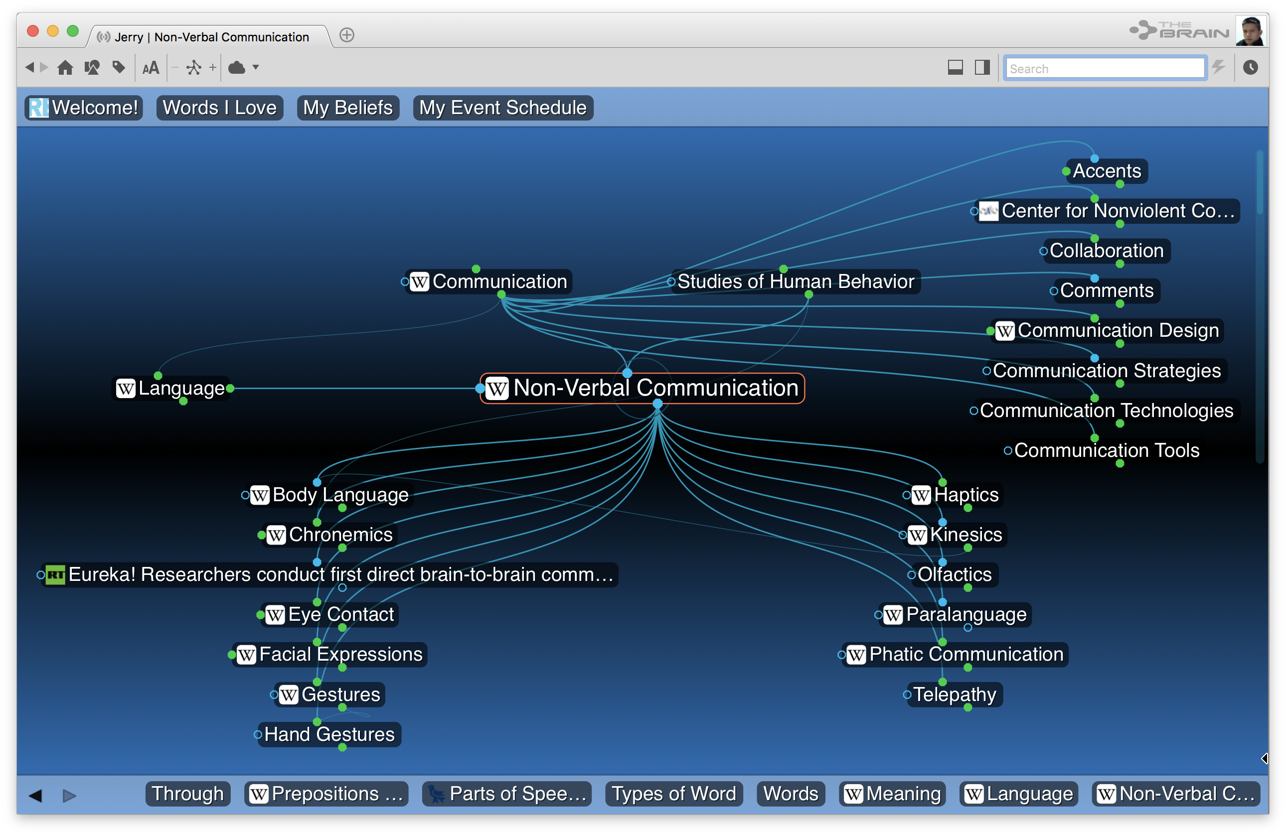 Brain по русски. The Brain программа. PERSONALBRAIN. Brain Map программа. Personal Brain.